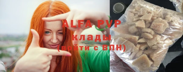 стаф Алзамай