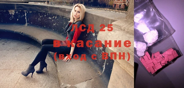 стаф Алзамай