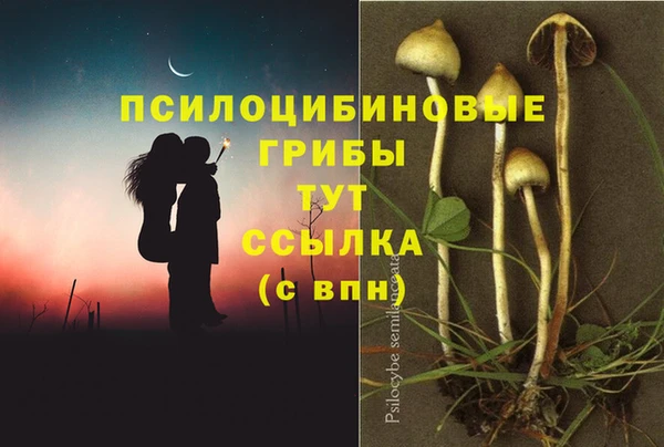 амфетамин Алексин